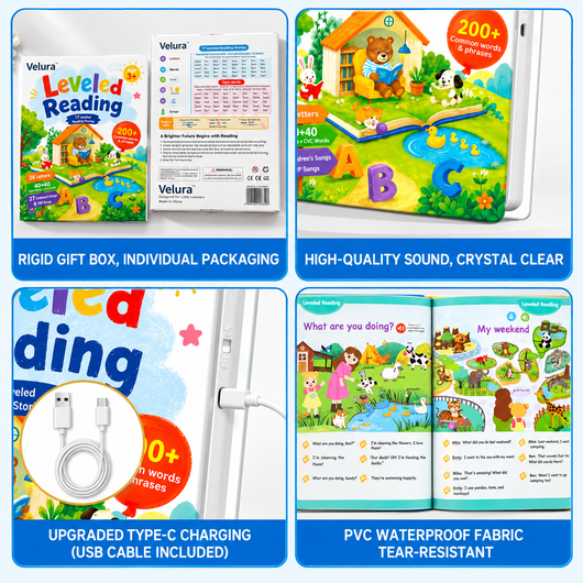 Leveled Reading Sound Book